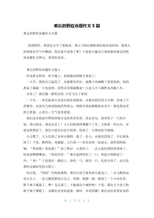 难忘的野炊命题作文5篇