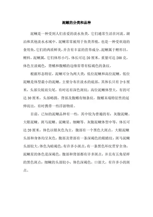 泥鳅的分类和品种