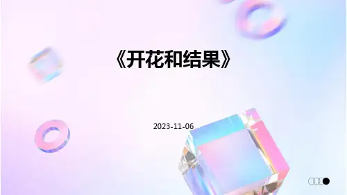 《开花和结果》