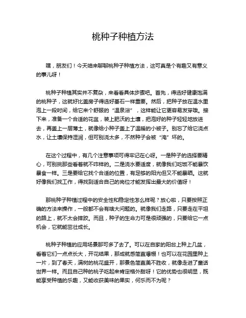 桃种子种植方法