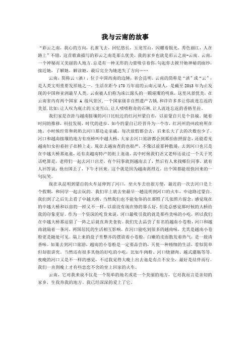 云南民族文化  小论文