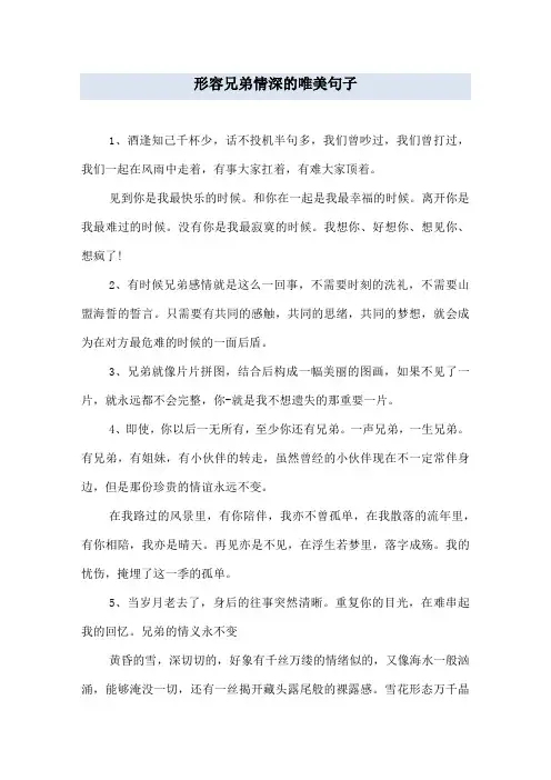 形容兄弟情深的唯美句子
