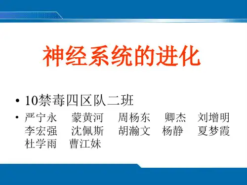普通心理学——神经系统的进化