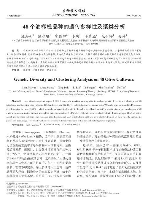 48个油橄榄品种的遗传多样性及聚类分析
