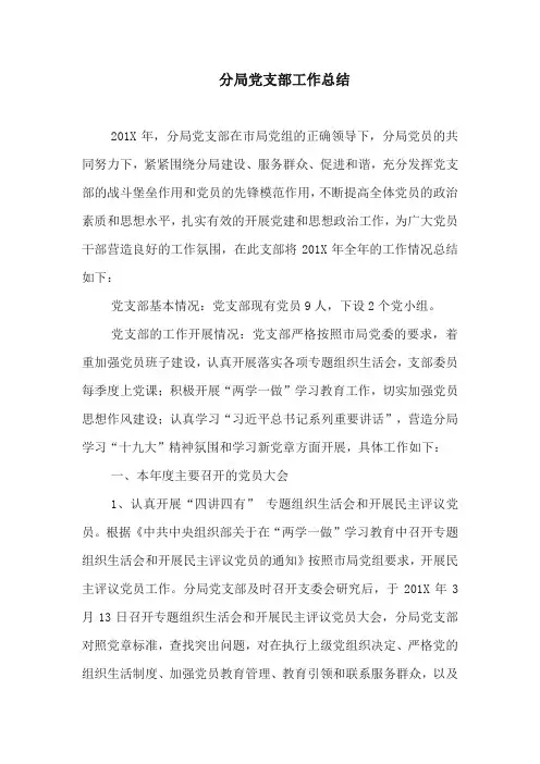 工作总结：分局党支部工作总结