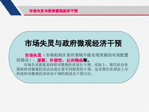 政府微观干预