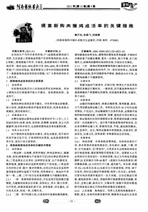 提高新购肉雏鸡成活率的关键措施