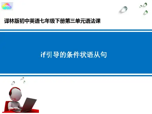 if 引导的条件状语从句