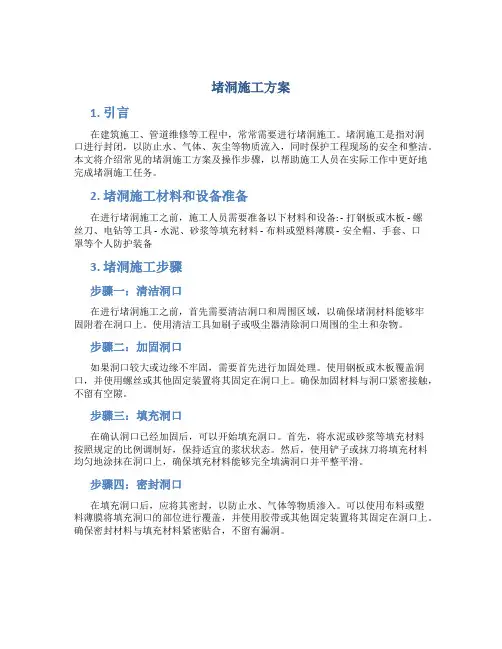 堵洞施工方案