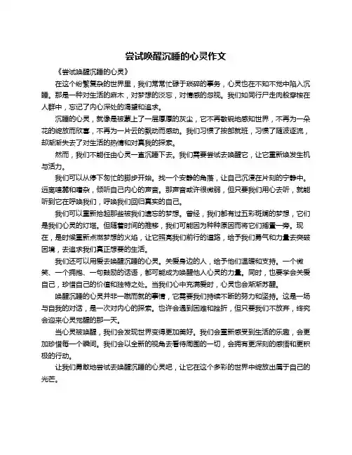 尝试唤醒沉睡的心灵作文
