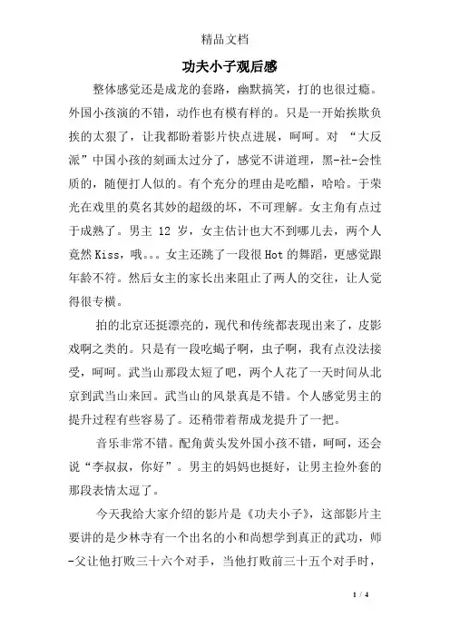 功夫小子观后感