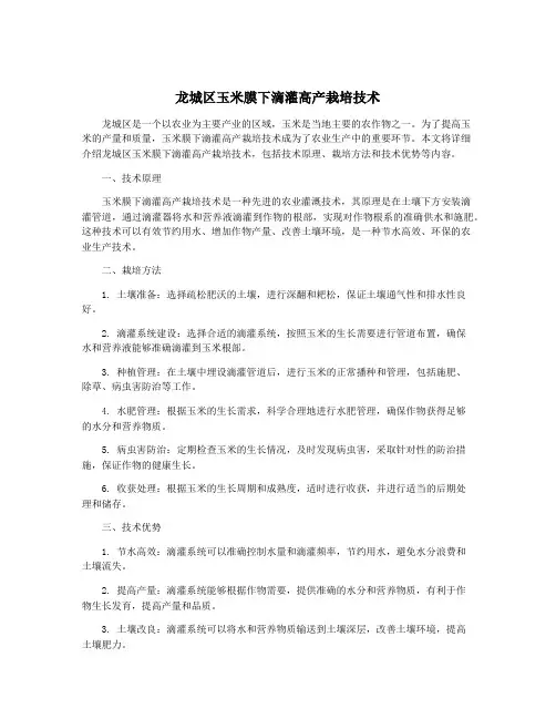龙城区玉米膜下滴灌高产栽培技术