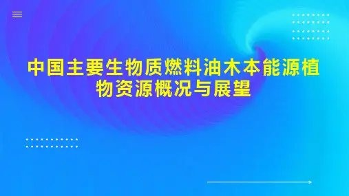 中国主要生物质燃料油木本能源植物资源概况与展望