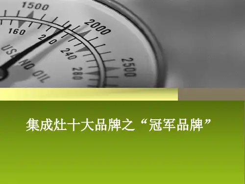 集成灶十大品牌之冠军品牌