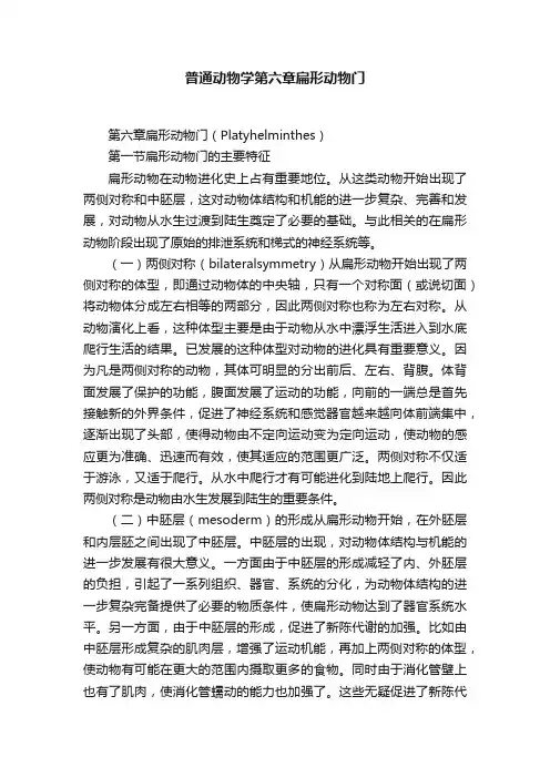 普通动物学第六章扁形动物门