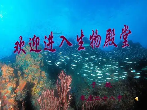 绿色植物的光合作用