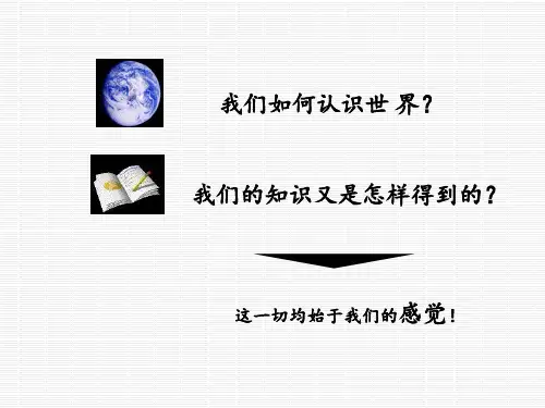 感觉知觉和记忆PPT课件
