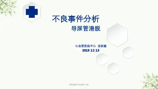 尿管滑脱不良事件分析课件