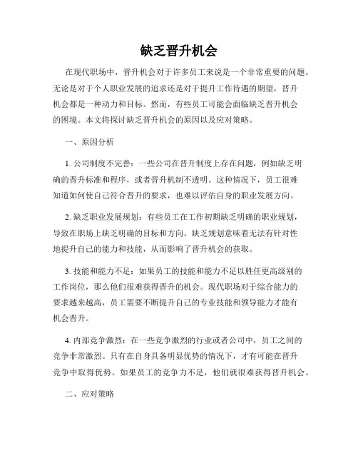缺乏晋升机会