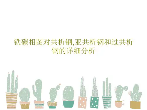 铁碳相图对共析钢,亚共析钢和过共析钢的详细分析共64页