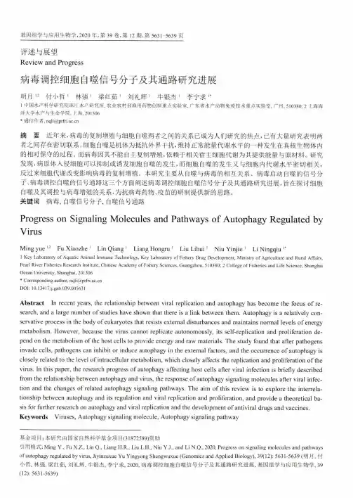 病毒调控细胞自噬信号分子及其通路研究进展