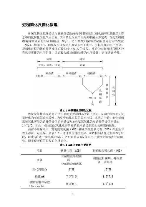 短程硝化反硝化原理