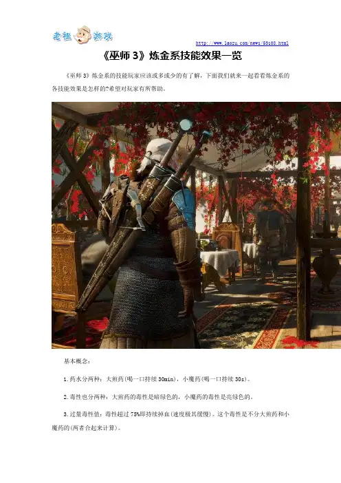 《巫师3》炼金系技能效果一览