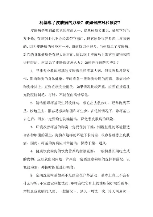 柯基患了皮肤病的办法？该如何应对和预防？