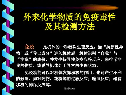 免疫毒性及其检测方法医学PPT