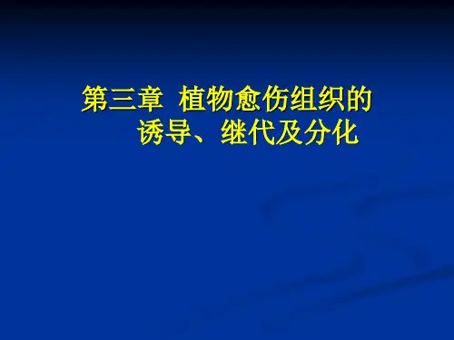 第三章 植物愈伤组织的诱导、继代及分化