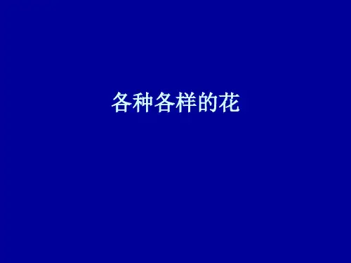 四年级下册科学课件- 2.2 各种各样的花 ∣教科版 (共21张PPT)