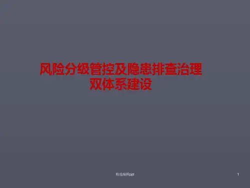 双体系建设ppt课件