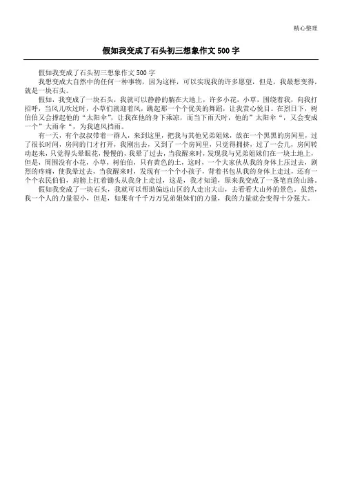 假如我变成了石头初三想象作文500字