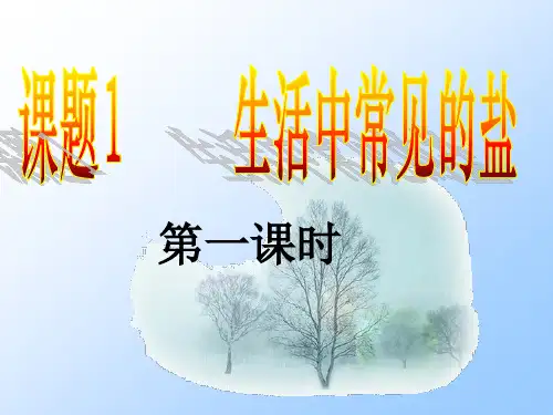 生活中常见的盐(1).ppt