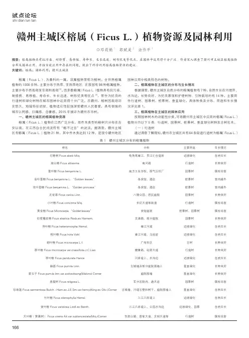 赣州主城区榕属(Ficus L.)植物资源及园林利用