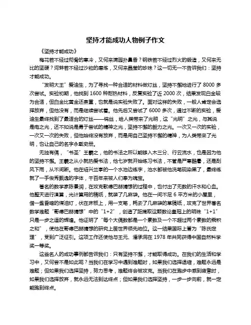 坚持才能成功人物例子作文