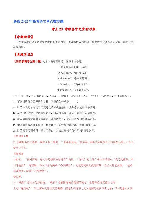 考点23：诗歌鉴赏之赏析形象(解析版)一轮复习考点微专题(新高考版)