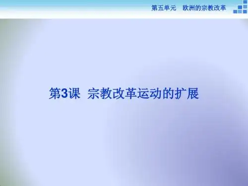 2018历史人教版选修1 第五单元第3课 宗教改革运动的扩展 课件(31张)