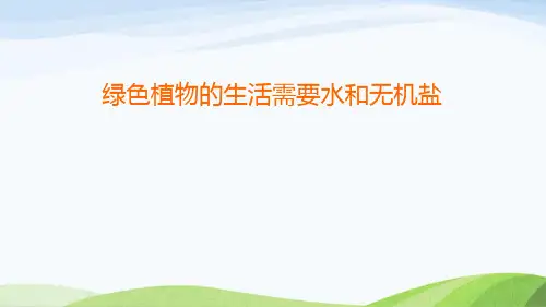 2022年中考生物复习：绿色植物的生活需要水和无机盐