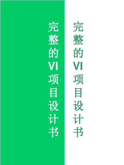 VIS设计规范完全手册