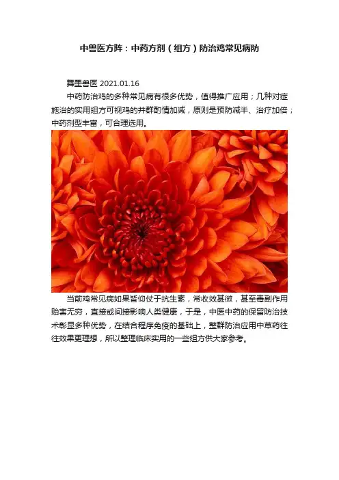 中兽医方阵：中药方剂（组方）防治鸡常见病防