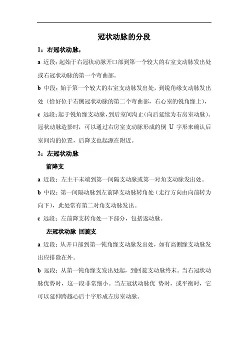 冠状动脉的分段