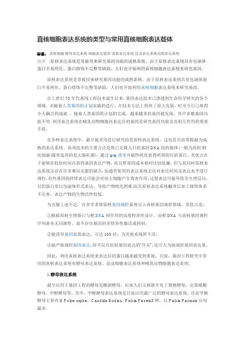 真核细胞表达系统的类型与常用真核细胞表达载体