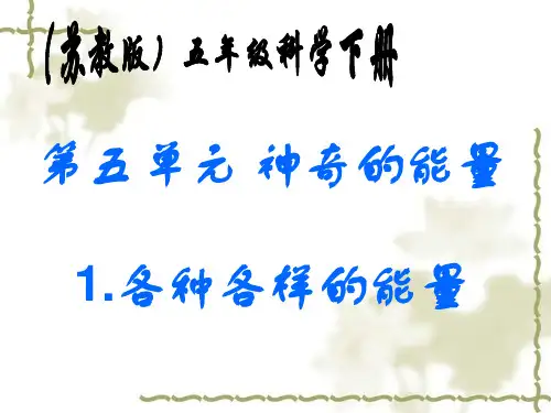 各种各样的能量