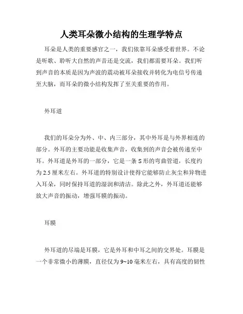 人类耳朵微小结构的生理学特点