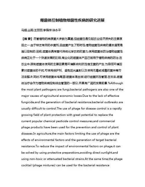 噬菌体控制植物细菌性疾病的研究进展
