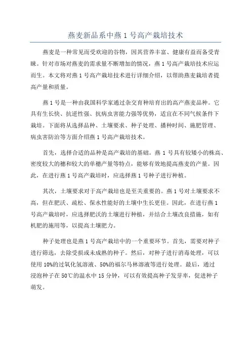 燕麦新品系中燕1号高产栽培技术