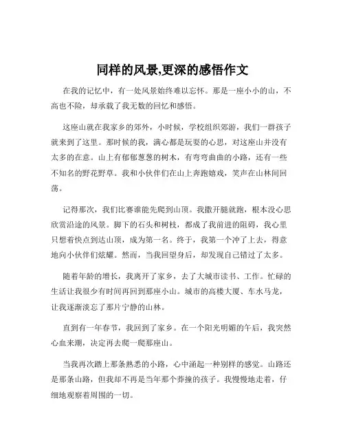 同样的风景,更深的感悟作文
