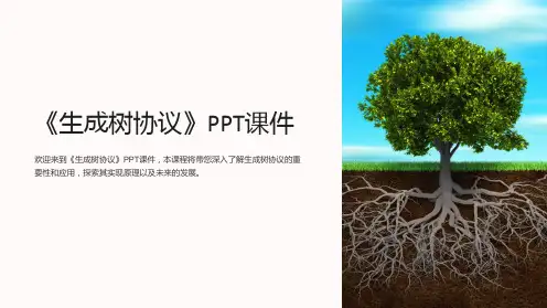 《生成树协议》课件