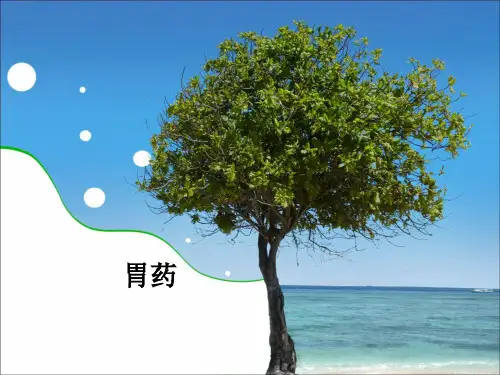 胃药ppt课件